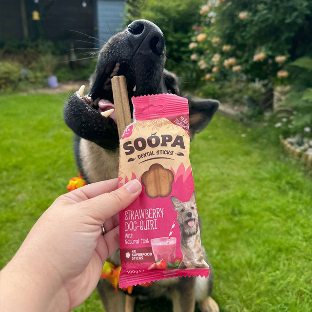 Soopa Dental Sticks, Strawberry Dog-Quiri Zahnpflege