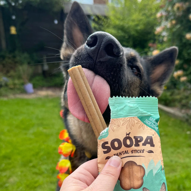 Soopa Dental Sticks, Paw-ña Colada Zahnpflege