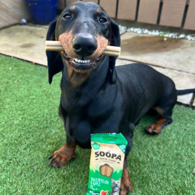 Soopa Dental Sticks, Wassermelone & Apfel Zahnpflege