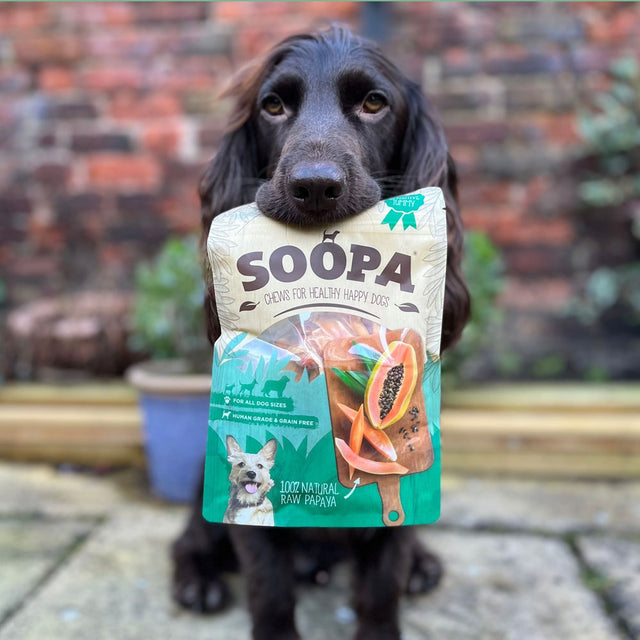 Soopa Hundesnack, Papaya Chews Veggie