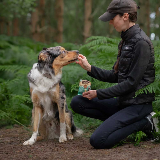 Soopa Hundekekse, Paw-ña Colada Healty Bites Hundekeks