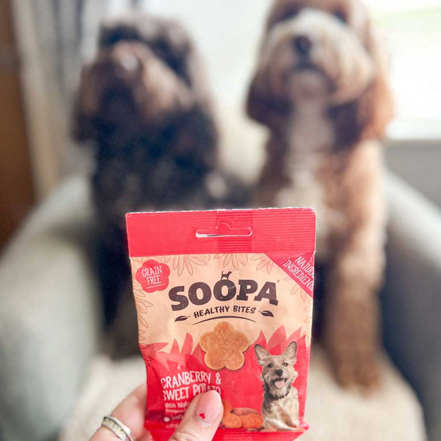 Soopa Hundekekse, Cranberry & Süßkartoffel Bites Hundekeks