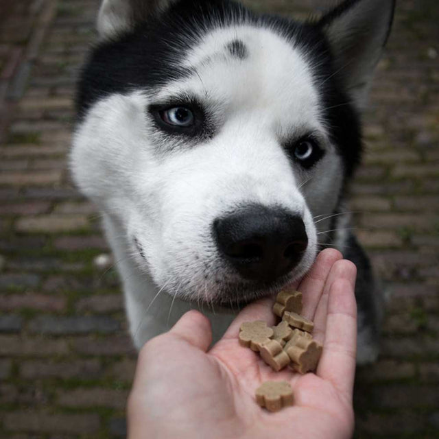 Soopa Hundekekse, Cranberry & Süßkartoffel Bites Hundekeks