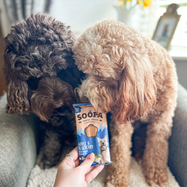 Soopa Dental Sticks, Apfel & Blaubeere Zahnpflege