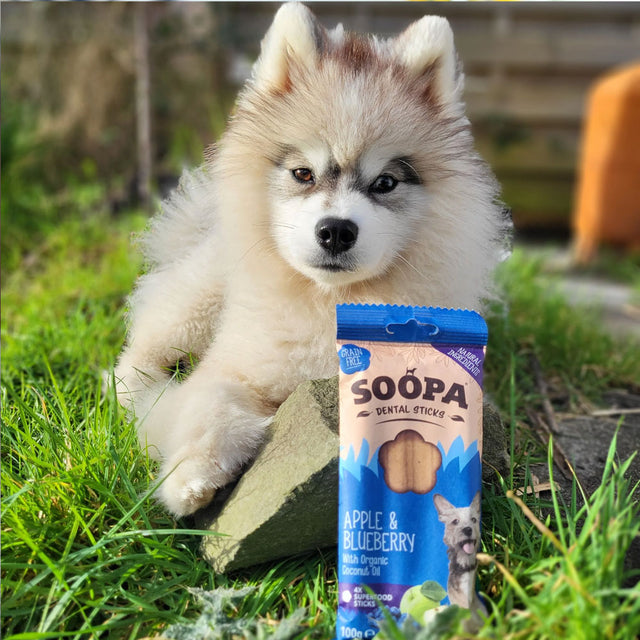 Soopa Dental Sticks, Apfel & Blaubeere Zahnpflege