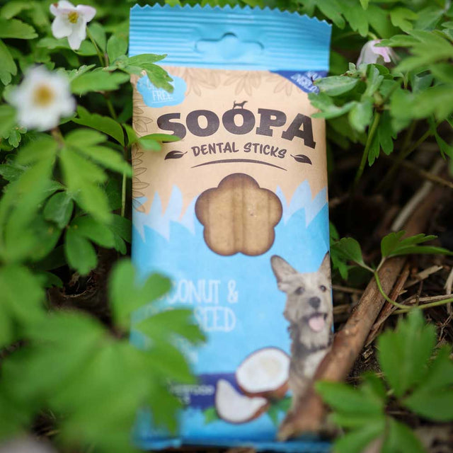 Soopa Dental Sticks, Kokos & Chiasamen Zahnpflege
