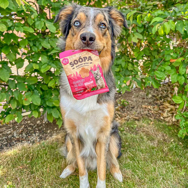 Soopa Hundekekse, Strawberry Dog-Quiri Bites Hundekeks