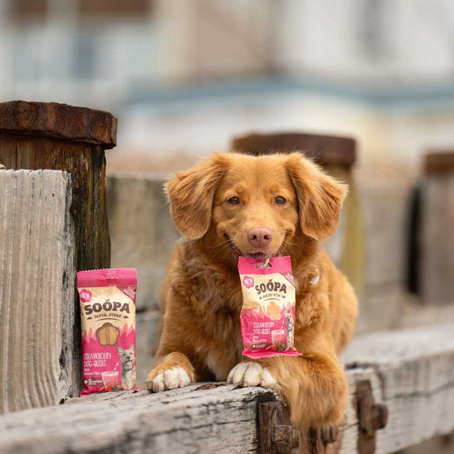 Soopa Hundekekse, Strawberry Dog-Quiri Bites Hundekeks