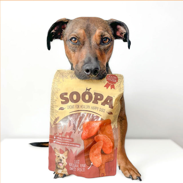 Soopa Hundesnack, Süßkartoffel Chews Veggie
