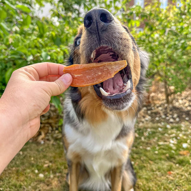 Soopa Hundesnack, Süßkartoffel Chews Veggie