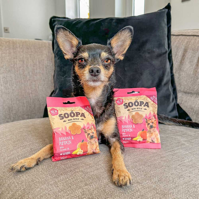Soopa Hundekekse, Banane & Kürbis Bites Mini Hundekeks