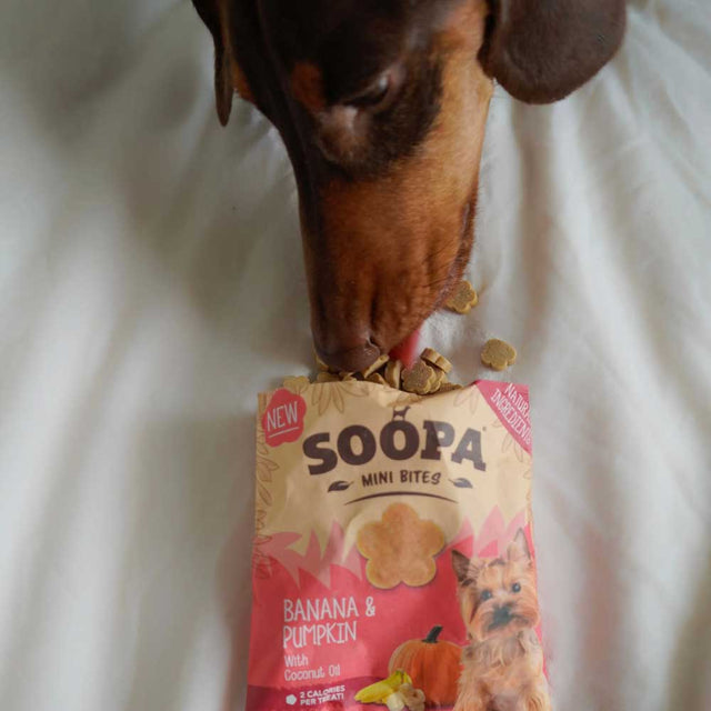 Soopa Hundekekse, Banane & Kürbis Bites Mini Hundekeks