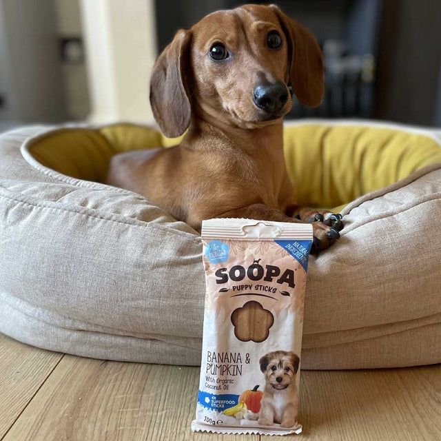 Soopa Puppy Dental Sticks, Banane & Kürbis Zahnpflege