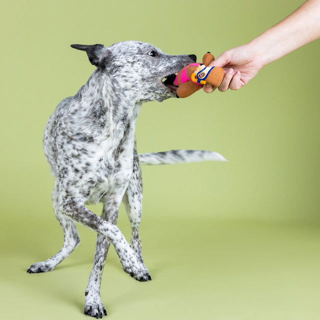 Fringe Studio Hundespielzeug Eat Sleep Snorkel Stoffspielzeug