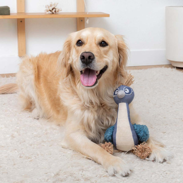 Fringe Studio Hundespielzeug Feather Than Ever Stoffspielzeug