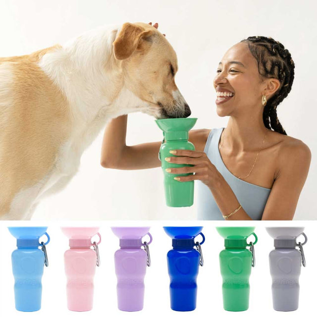 Springland Pets Travel Bottle Classic, Green 650 ml Trinkflasche
