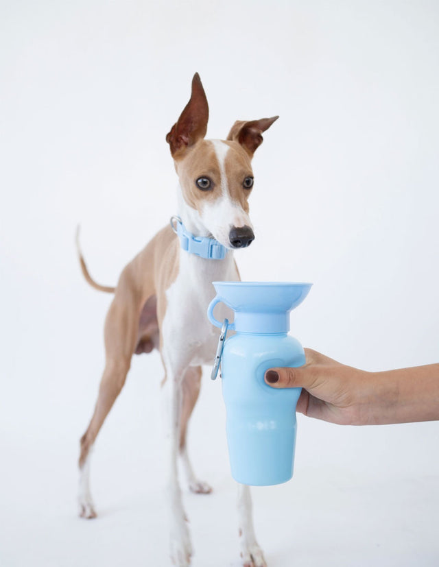 Springland Pets Travel Bottle Classic, Sky Blue 650ml Trinkflasche
