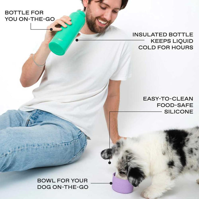 Springland Pets Dog & Me Travel Bottle, Green/Lilac 710 ml Trinkflasche