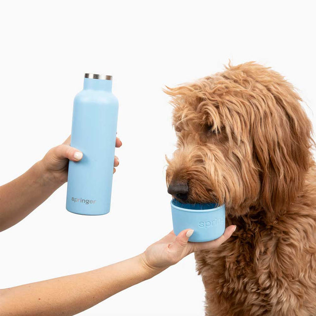 Springer Dog & Me Travel Bottle, Sky Blue 710 ml Trinkflasche