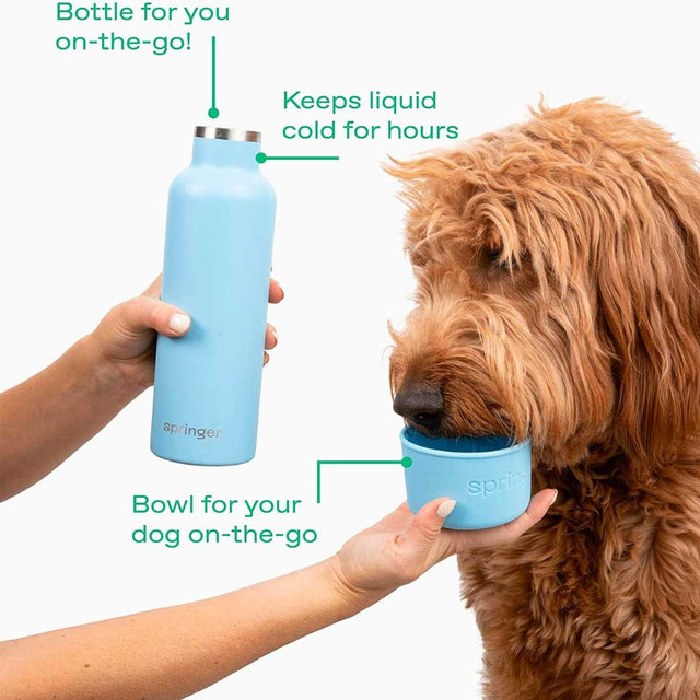 Springer Dog & Me Travel Bottle, Sky Blue 710 ml Trinkflasche