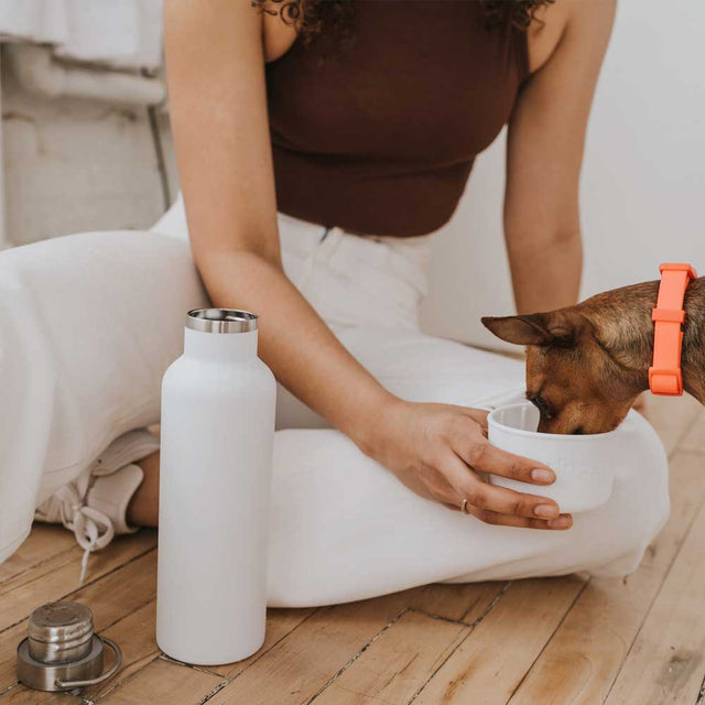 Springer Dog & Me Travel Bottle, White 710 ml Trinkflasche