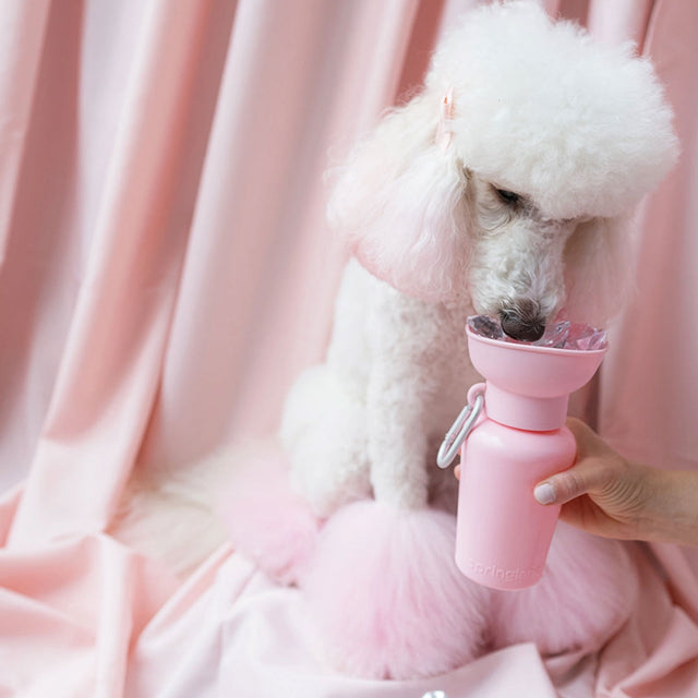 Travel Bottle The Flip, Baby Pink