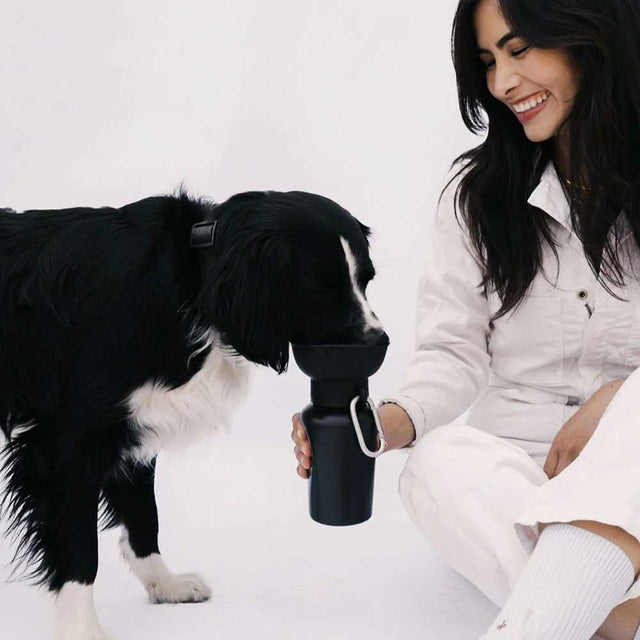 Springland Pets Travel Bottle The Flip, Black 590ml Trinkflasche