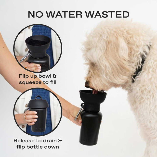 Springland Pets Travel Bottle The Flip, Black 590ml Trinkflasche
