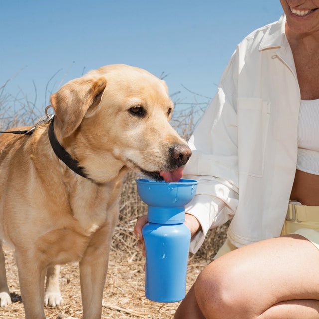 Springer Travel Bottle The Flip, Blueberry 590ml Trinkflasche