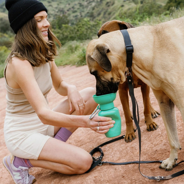 Springer Travel Bottle The Flip, Green 590ml Trinkflasche