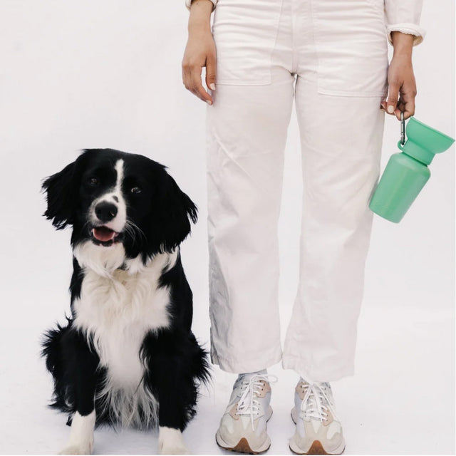 Springer Travel Bottle The Flip, Green 590ml Trinkflasche