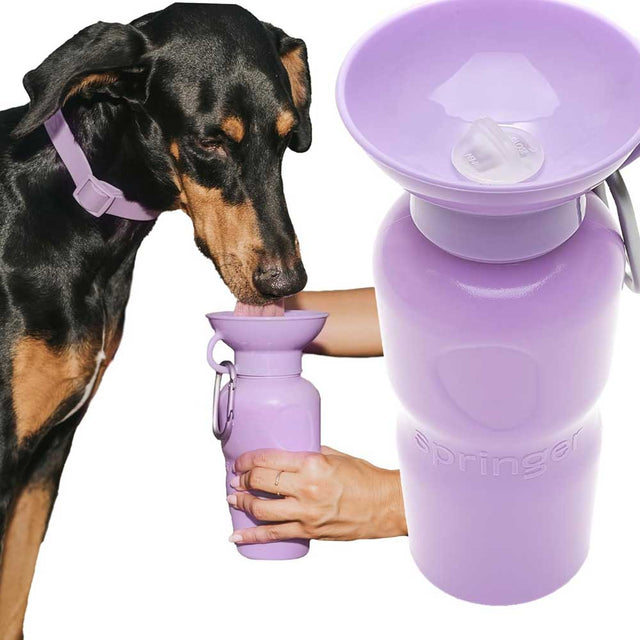 Springer Travel Bottle The Flip, Lilac 590ml Trinkflasche