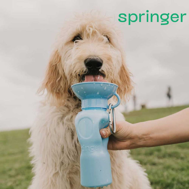 Springland Pets Travel Bottle The Flip, Lilac 590ml Trinkflasche