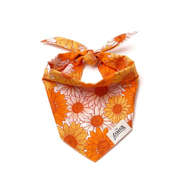 The Paws Bandana, Fielding Hundehalstücher