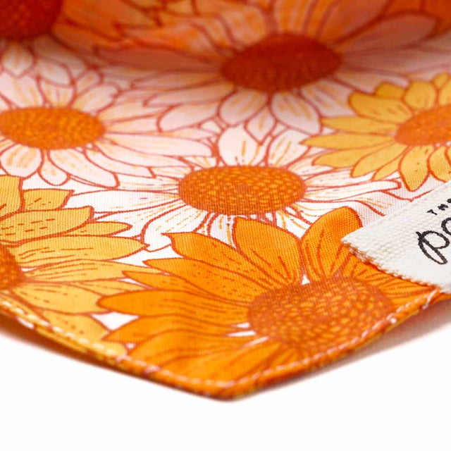 The Paws Bandana, Fielding Hundehalstücher