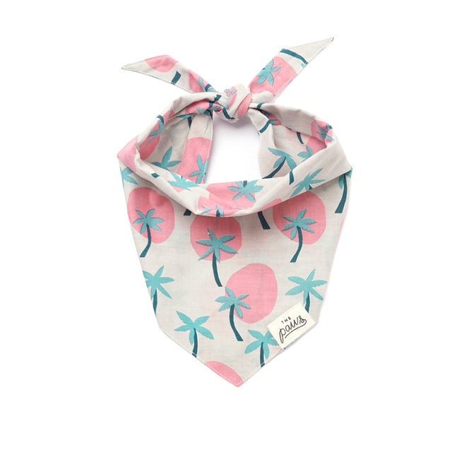 The Paws Bandana, Bingin Hundehalstücher