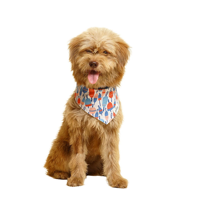 The Paws Bandana, Buoy Hundehalstücher