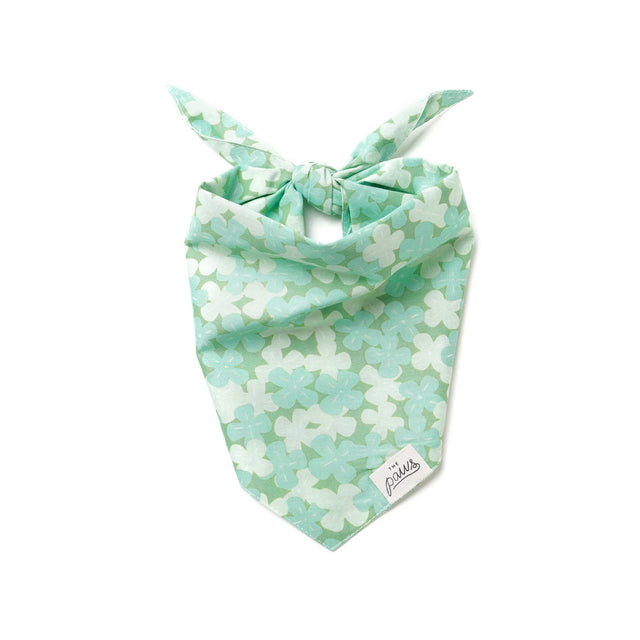 The Paws Bandana, Clover Hundehalstücher