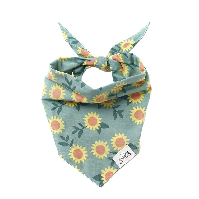 The Paws Bandana, Cromwell Hundehalstücher