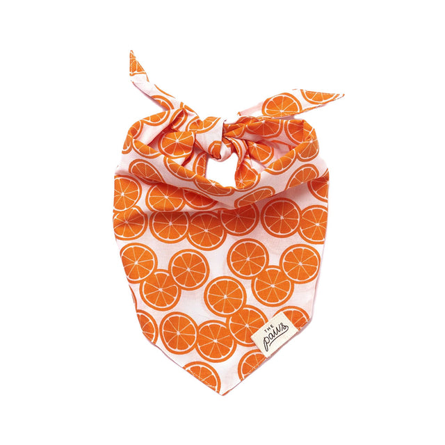 The Paws Bandana, Fresh Slice Hundehalstücher