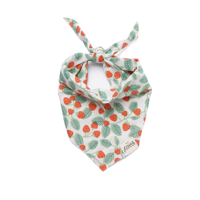 The Paws Bandana, Henley Hundehalstücher