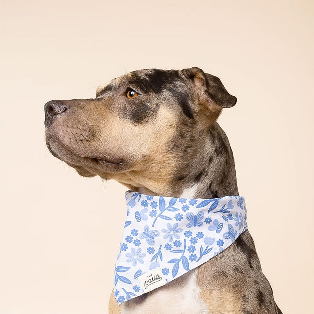 The Paws Bandana, Jo Hundehalstücher