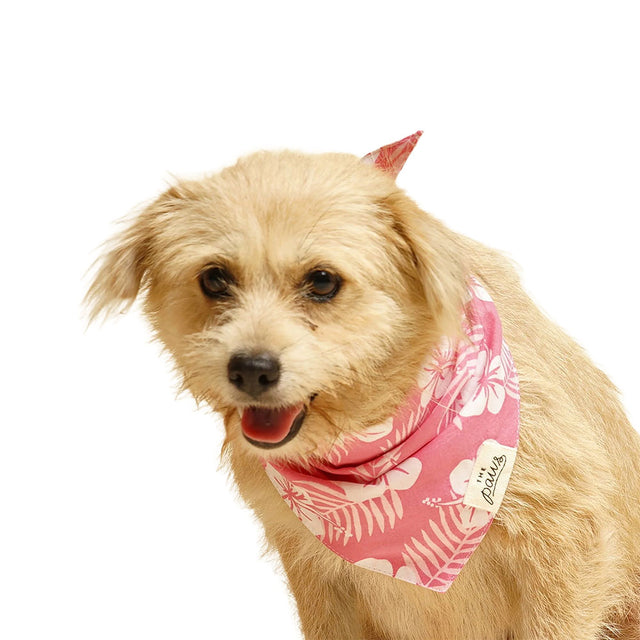 The Paws Bandana, Lei Hundehalstücher