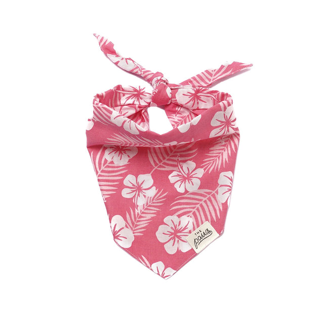 The Paws Bandana, Lei Hundehalstücher