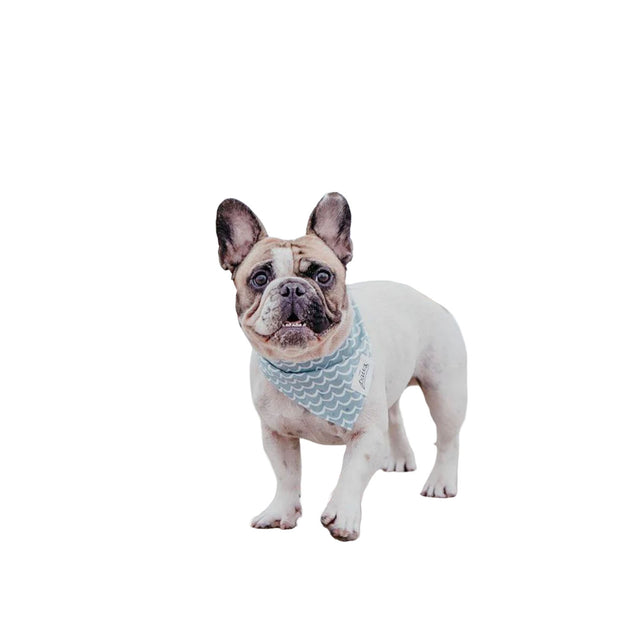 The Paws Bandana, Perfect Wave Hundehalstücher