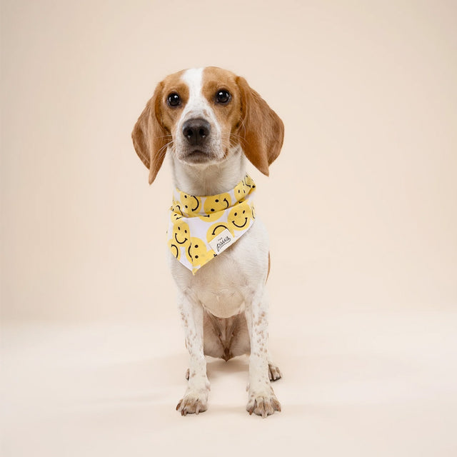 The Paws Bandana, Smile Hundehalstücher