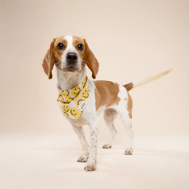 The Paws Bandana, Smile Hundehalstücher