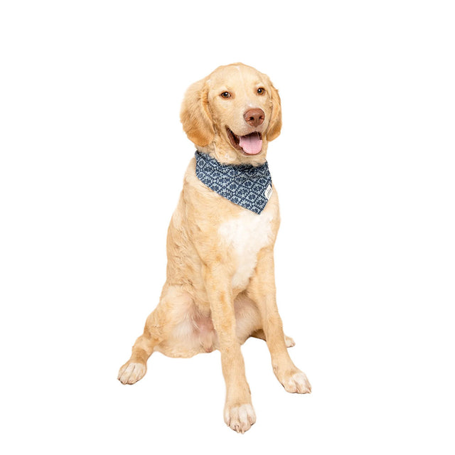 The Paws Bandana, Summit Hundehalstücher