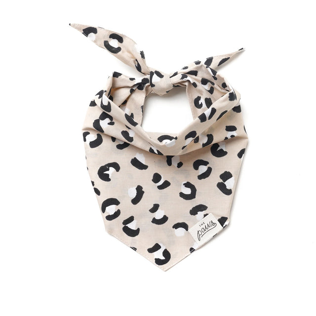 The Paws Bandana, Urban Hundehalstücher