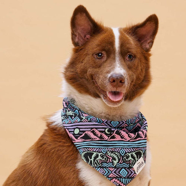 The Paws Bandana, Wild Dog Hundehalstücher